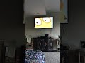 Opening To Arthur Learns About Confidence 2002 VHS