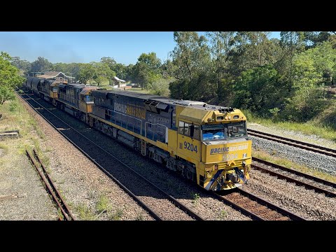 Pacific National’s 9204, TT128 & LDP002 at East Maitland - 9/1/26