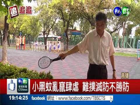 小黑蚊肆虐難防 學童成"紅豆冰"