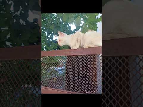 29 декабря 2022 г.