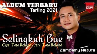 Download lagu TARLING TERBARU | SELINGKUH BAE | NEW SINGLE ZAMZAMY NATURA 2021 mp3