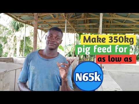 How to make CHEAP but RICH pig feed formula || pig farming in Nigeria