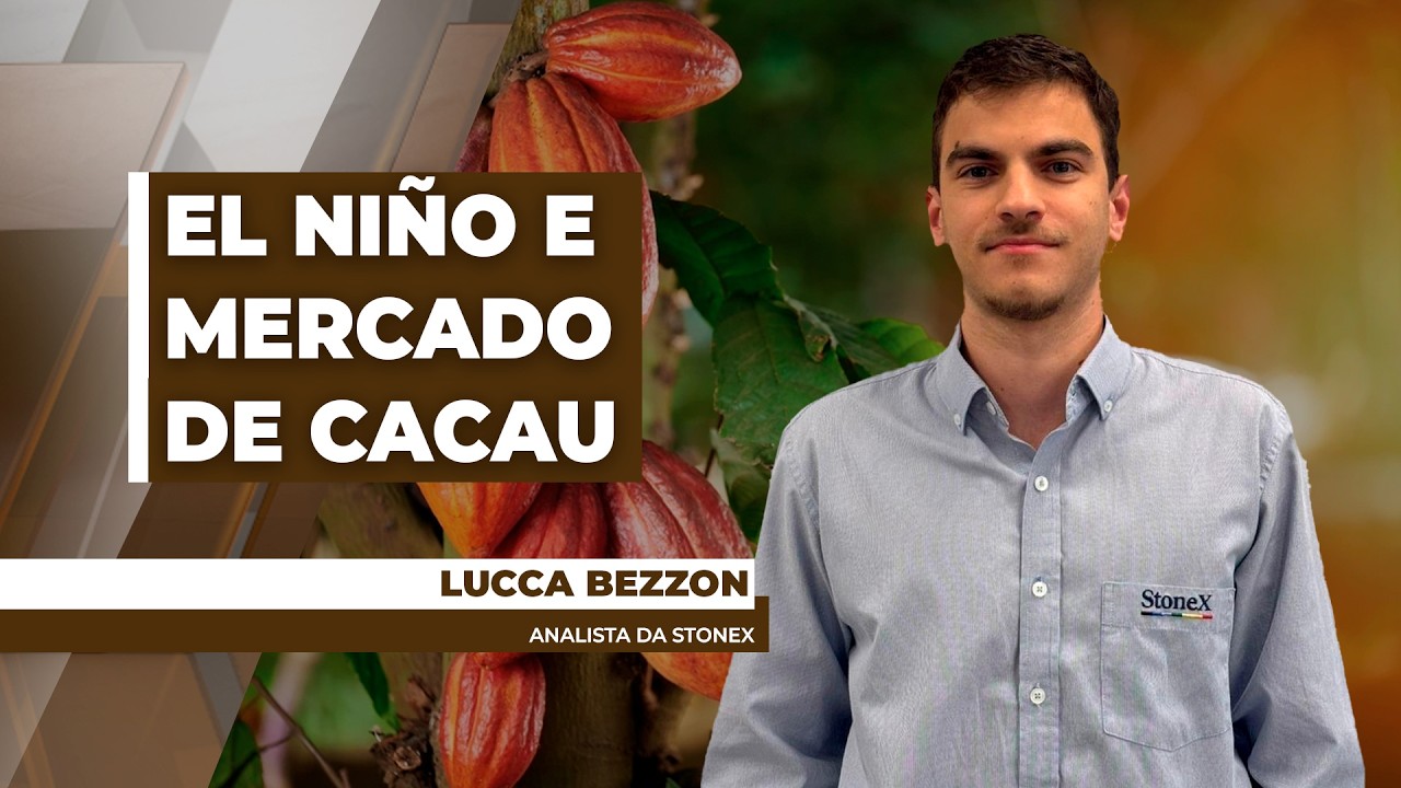 Mercado de Cacau passa por momento de volatilidade de olho nos impactos do El Nño