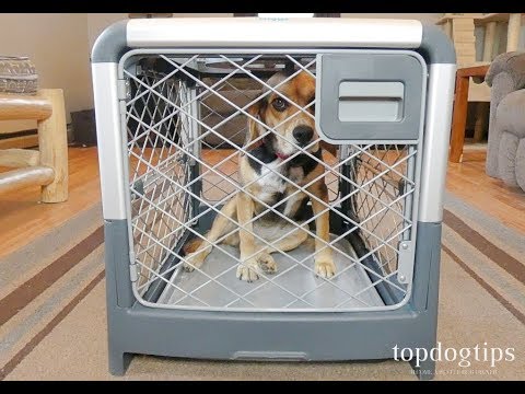 download lagu mp3 mp4 Revol Dog Crate Reviews, download lagu Revol Dog Crate Reviews gratis, unduh video klip Revol Dog Crate Reviews