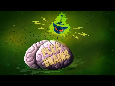 Kid vs. Kat S=2 Episode 2. "Flea Brains / Menace The Dennis".