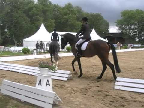 Reitpferdeprüfung für 3 j Gestüt Tasdorf  27.05.2011