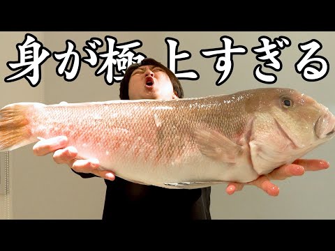 【やばい】市場で一際目立つ魚を見つけました。