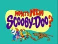 Whats New Scooby Doo Theme Tune Reversed