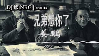 兄弟想你了 - 刘潇 Remix ( 最新 DJ版 NRC )