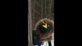 Search for the Forbidden [blank]: Arctic Adventure