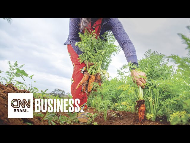 Globo Rural: Mel vira negócio para startup que conecta produtores