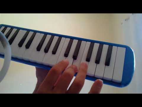 Como tocar só quer vrau