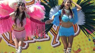 飛鳥山公園でサンバダンス　ピンク＆ブルー