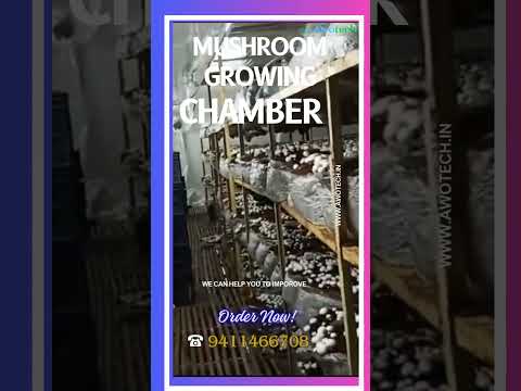 Mushroom Growing Chambers