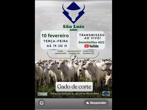 São Luis de Montes Belos - GO   10/02/2026