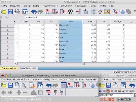 SPSS: Umkodieren von Variablen