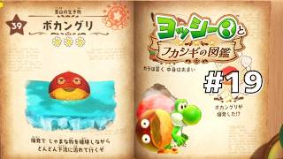 ボカングリを徹底調査！#19 【ヨッシーとフカシギの図鑑】