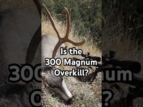 Is the 300 Magnum Overkill? #huntingrifles #deerhunting #hunting