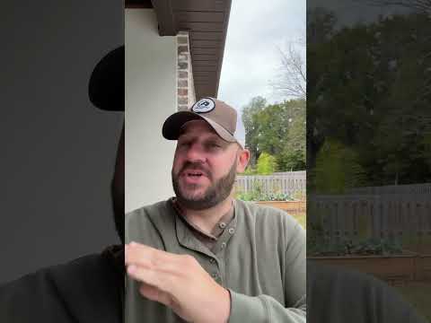 Today Is The Day!!! #shortsfeed #shortsvideo #congress #atf #biden #langley #scotus #goa Thumbnail