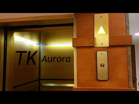 ThyssenKrupp Hydraulic Elevator H @ Domino's Farms Office Park, Ann Arbor, MI