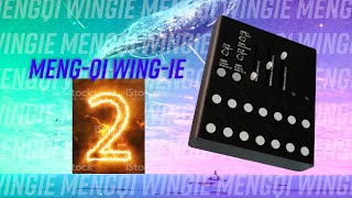 Video thumbnail for Wingie 2 Stereo Resonator by Meng-Qi : Mystery Caves, Cool Tubes, Polyphonic Pipes by soffter
