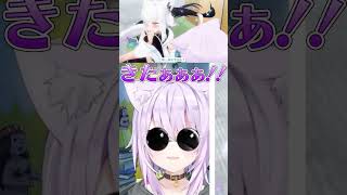 にゃんぐこーん姉妹回のホロぐらをみるスバおかw