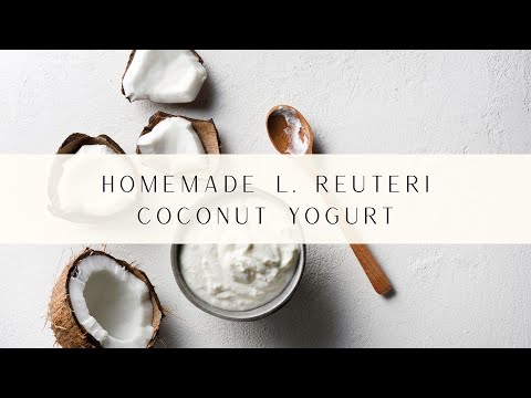 Homemade L. Reuteri Coconut Yogurt Recipe