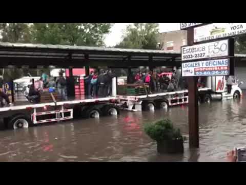 TRÁILER TRASNPORTA A USUARIOS DEL METROBÚS DE LA CDMX VARADOS EN ESTACIÓN LA JOYA  (VIDEO)