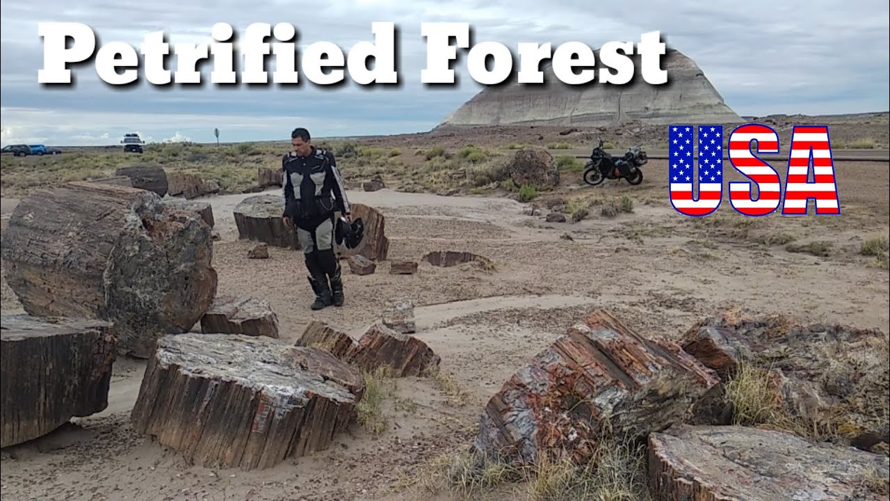 Petrified Forest. USA Trip Motorcycle #9. Arizona los árboles de piedra. La Circunvalación