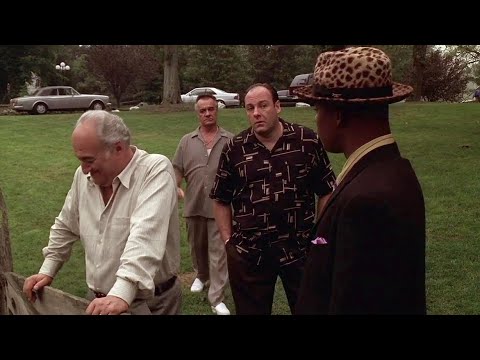 The Sopranos - Tony Soprano meets Massive Genius