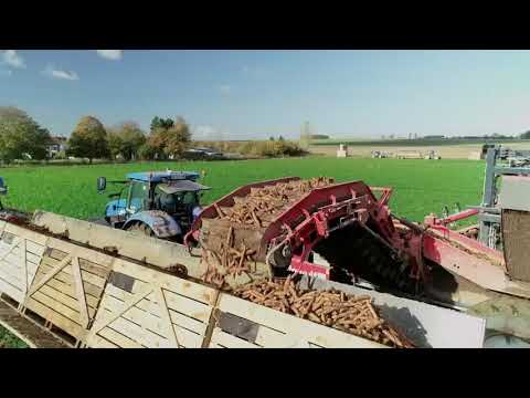 Carrot Harvesters Dewulf ZKIV