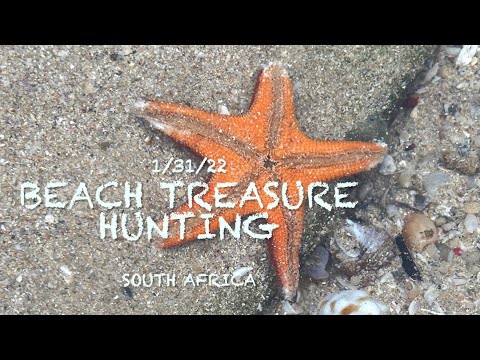Beach treasure hunting in South Africa