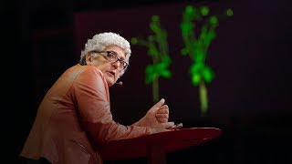 How supercharged plants could slow climate change | Joanne Chory