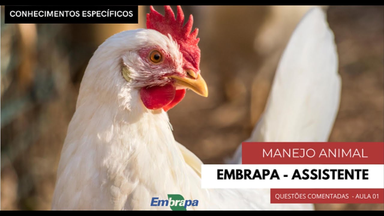 Embrapa nível fundamental -manejo animal questões aula 1