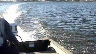 blue moanin'.wmv