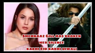 Salman Khan and Sehnaaz Gill kabhi eid kabhi diwali