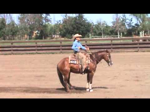 Chic Olenas Playgun 1