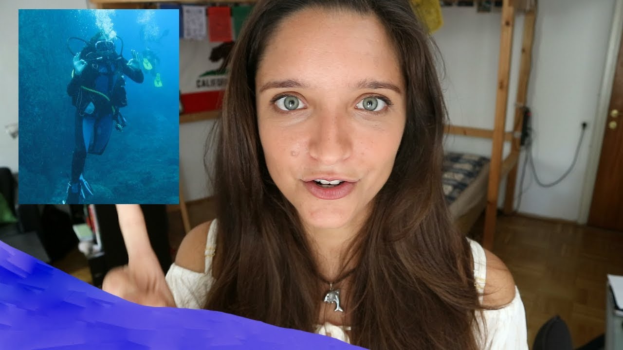 What does a marine biologist REALLY do?