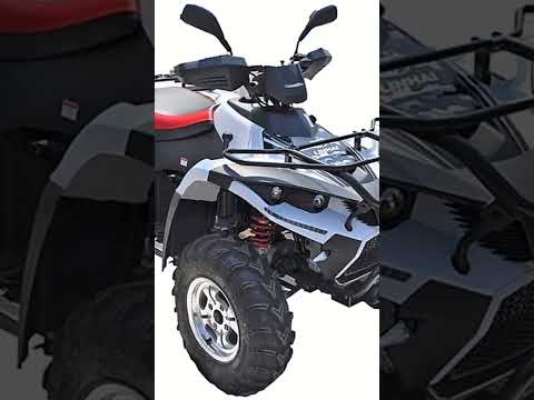 Linhai ATV Dragon Fly 400 - Video 1