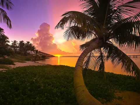 Cherelle Fortler  / Come And Get It