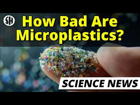 How Bad Are Microplastics?