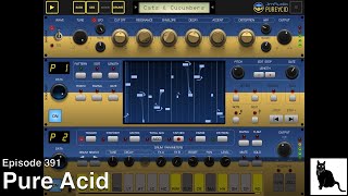 Video thumbnail for Pure Acid by JimAudio: A Detailed Demo and Tutorial by CatSynth TV