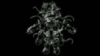 Cover art for Ruckus