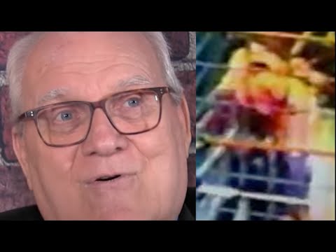 JJ Dillon on WWE Backstage Reaction to The Curtain Call Incident