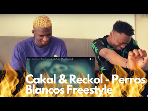 JT VLOGS REACT TO Cakal & Reckol - Perros Blancos Freestyle