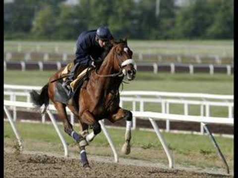 barbaro