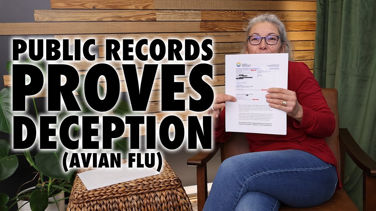 Bird Flu Update Explained by a Veterinary Professional