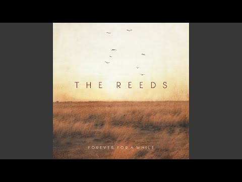 Those Who Dream By Day