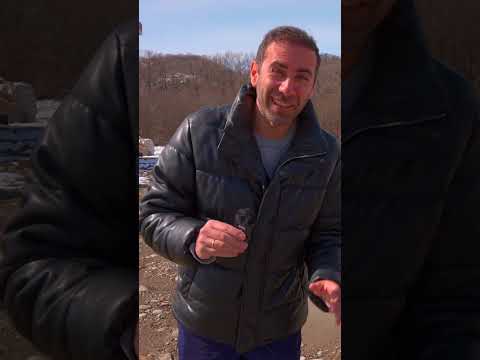 ვეძებთ პიკნიკისთვის ადგილს