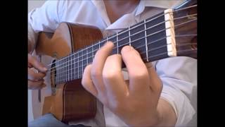 She Loves You - free TAB Beatles fingerstyle guitar solo